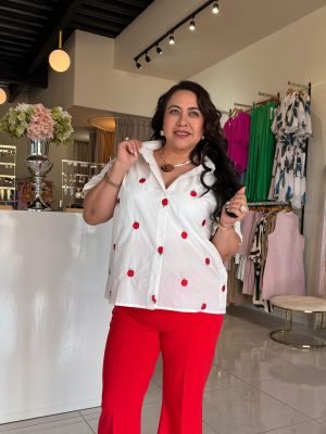 CAMISA MANGA CORTA CON MANZANAS BORDADAS 031